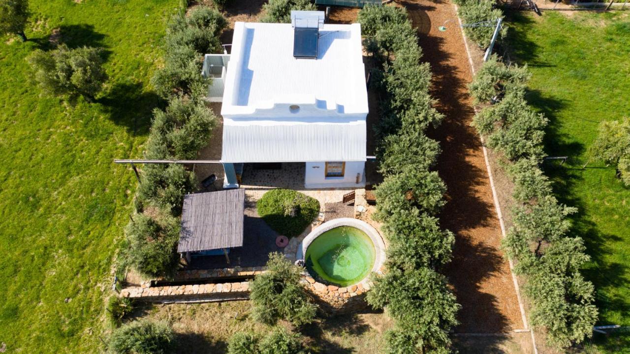 Olive Stone Farm Cottages Montagu Dış mekan fotoğraf