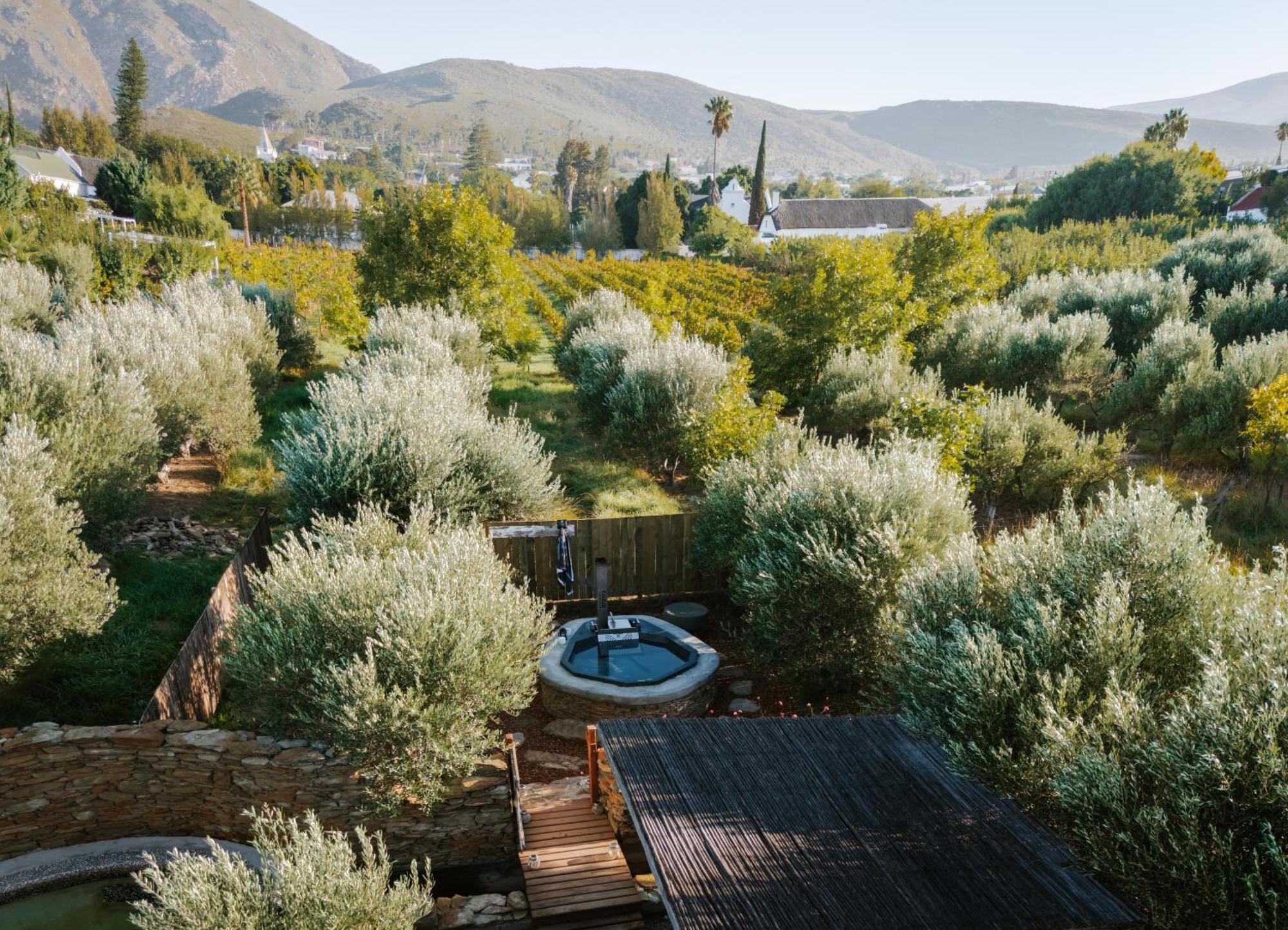 Olive Stone Farm Cottages Montagu Dış mekan fotoğraf